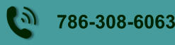 786-308-6063